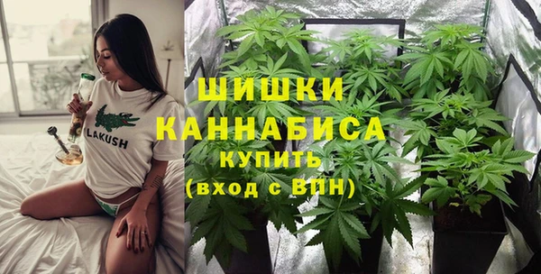 ГАЛЛЮЦИНОГЕННЫЕ ГРИБЫ Нея