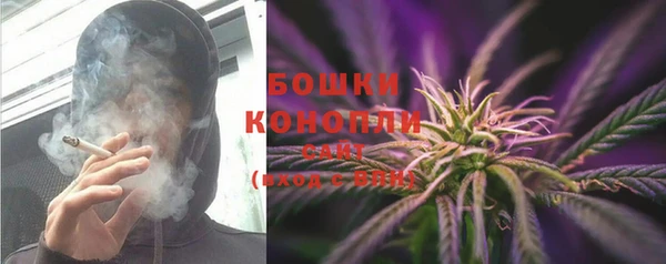 spice Новозыбков