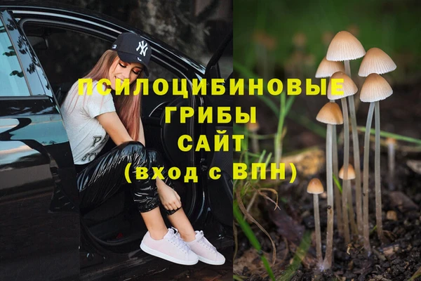 spice Новозыбков