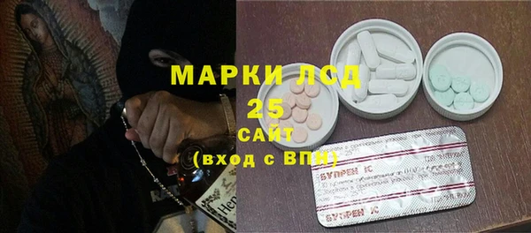гашик Новокубанск