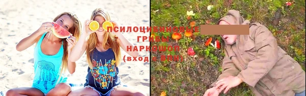 spice Новозыбков