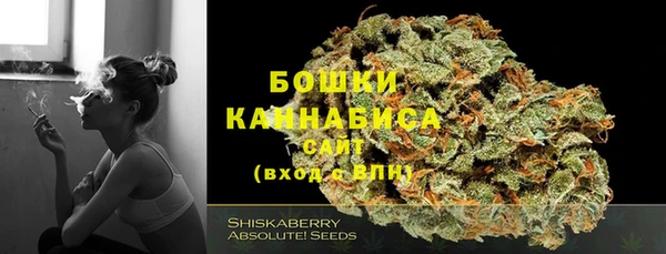 гашик Новокубанск