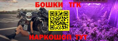 шишки Гусиноозёрск