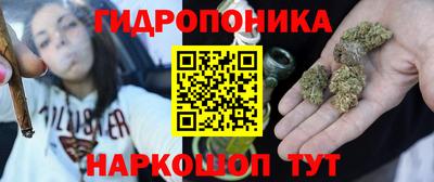стаф Гусь-Хрустальный