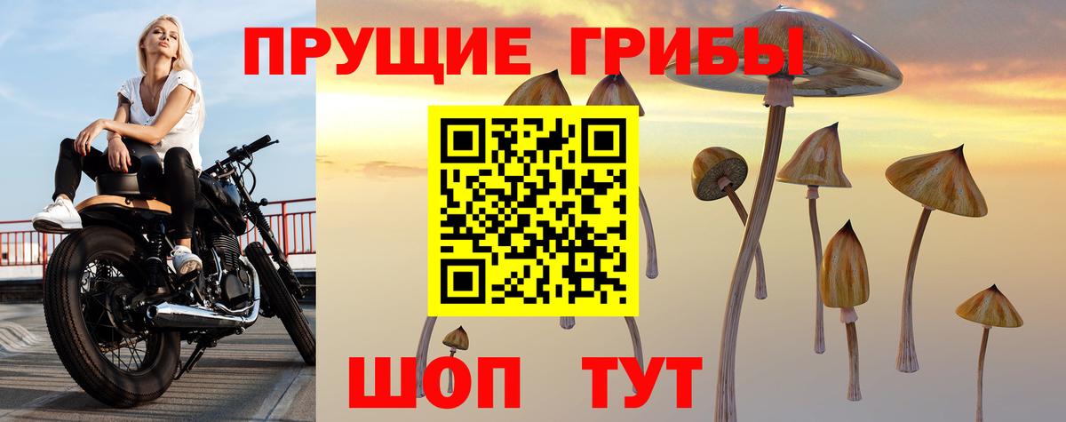 Псилоцибиновые грибы MAGIC MUSHROOMS  Вход с VPN  Псилоцибиновые грибы ЛСД  Энгельс 