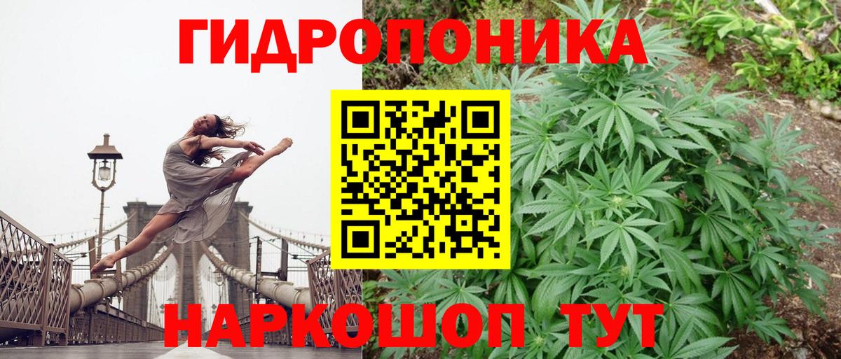 Каннабис ГИДРОПОН  Бошки Шишки марихуана  Энгельс  МАРИХУАНА индика  Вход с VPN 